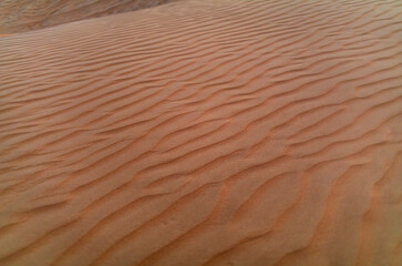 Sand waves on the red dunes in the desert near Dubai at sunrise