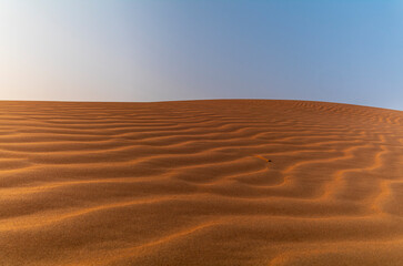 Sand waves on the red dunes in the desert near Dubai at sunrise