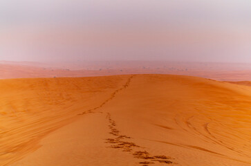 Footprints on the red dunes of the desert near Dubai at sunrise