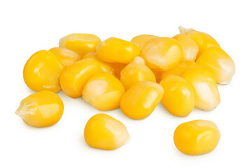 corn seeds isolated on white background with full depth of field