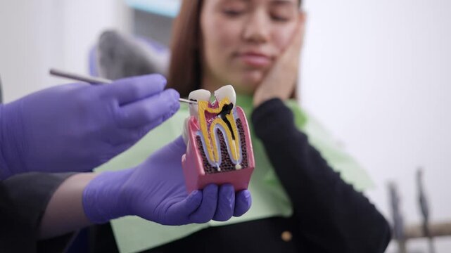 Young caucasian female with toothache and dentist dental appointment holding tooth model caries and pulpitis of nerve canal.
