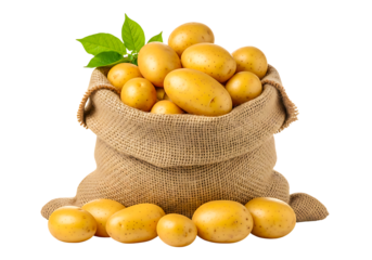 Sack of potatoes isolated on transparent background with green leaves on top