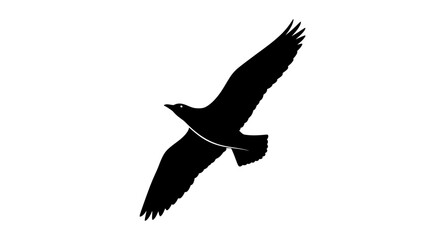A silhouette of a bird of prey in flight against a white background.