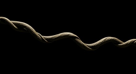 Coiled Vine Against a Dark Background A Study in Texture and Form