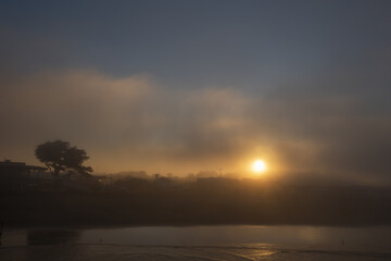View of the sun glowing through a thick blanket of golden fog, nestled between dark trees and a calm body of water, Christchurch, Canterbury Region, New Zealand.