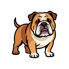 Bulldog English pet, vector art illustration.