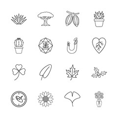 Obraz premium Nature line icon set. Vector pictograms of plants, trees, leaves, flowers, succulents, cacti, cacao, and holly, thin linear illustration.