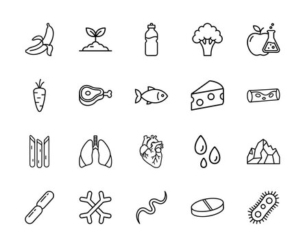 Health, nutrition, and biology line icon set. Vector pictograms of banana, heart, lungs, bacteria, pill, water, and bone, thin linear illustration.