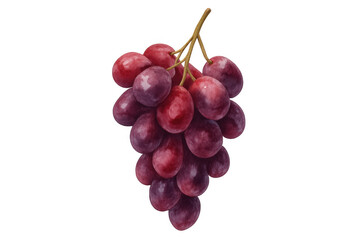 Fototapeta premium Ripe red grape bunch featuring healthy organic fruit, ready for harvest, isolated on transparent background