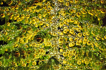 Golden Christmas decorations on the Christmas tree close up, background