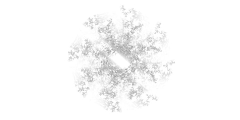 Black and white feather decoration with dry grass on white snow for a winter holiday illustration