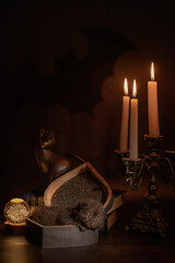Mystical photo with a British Shorthair kitten and candles