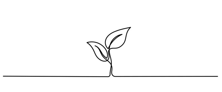 Leaves continuous line drawing. Plant branch one line art. Vector illustration isolated on white. leaf line vector