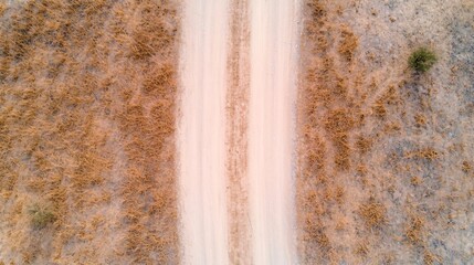 Drone highlighting dry vegetation patch considered high fire-risk region. 