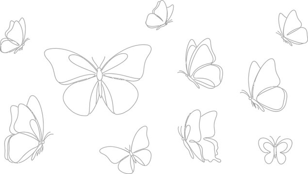 Collection of delicate line art butterflies in various sizes and poses against a clean white background