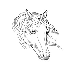 Hand-drawn vector horse illustration for 2026 symbol. Elegant line art perfect for coloring pages, zodiac themes, New Year designs, posters, prints, branding and creative graphic projects.