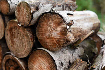 Firewood