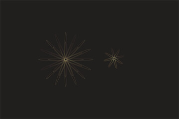 Fototapeta premium Golden Star Light Burst on Black Background