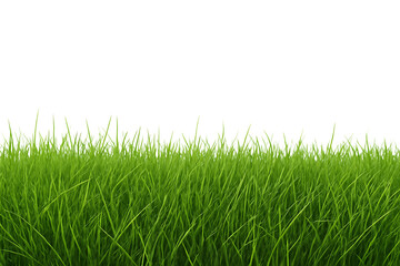 Lush green grass blades with detailed texture and vibrant color, cutout, PNG isolated on white or transparent background