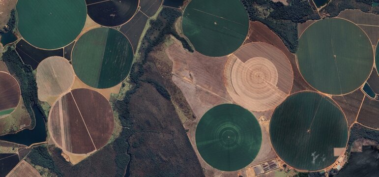 High-Contrast Aerial View of Center Pivot Irrigation and Agribusiness in Brazil