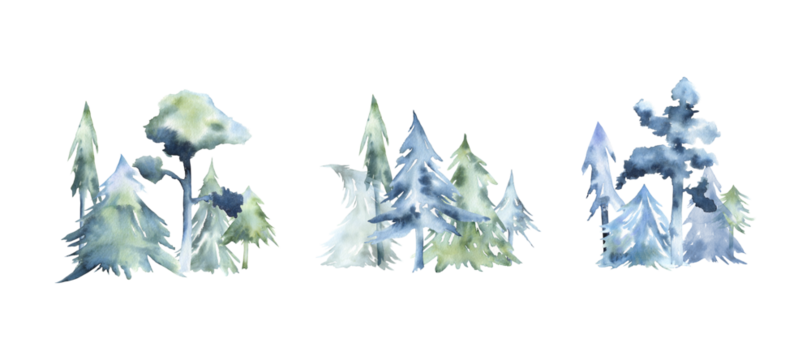Set of watercolor winter trees isolated on transparent. Fir and pine green and blue trees compositions clip art