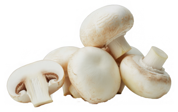 Group of white button mushrooms isolated
