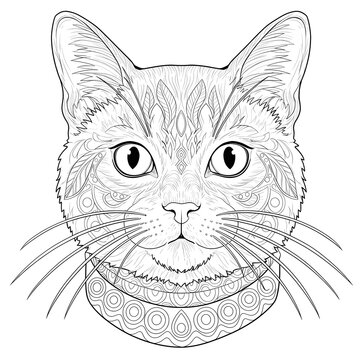 Beautiful Patterned Cat Head Outline for Coloring, Featuring Detailed Zentangle and Mandala Inspired Artwork for Creative Hobbies and Mindful Relaxation