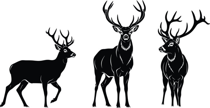 Horse jumping equestrian sport show jumping illustration black and white graphic design art 100 char