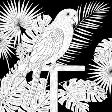 Exotic parrot perching amidst a lush canopy of tropical monstera and palm leaves, a detailed black and white line art illustration for adult coloring or jungle-themed decor