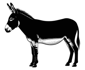 Fototapeta premium Donkey silhouette illustration, black and white engraving style, detailed animal profile, rustic farm art, educational livestock drawing, nature sketch
