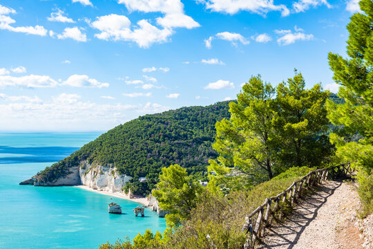 Coastal hiking trail overlooking the turquoise bay and rock cliffs of Baia delle Zagara beach, Gargano, Apulia, Italy
