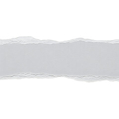 Obraz premium Torn paper edge with a gray background a design element for creative projects isolated on white