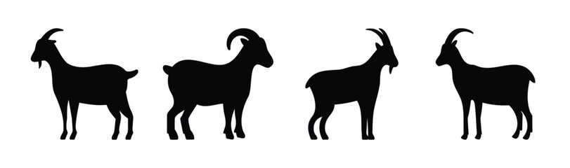 Four different goat silhouettes, standing, isolated on white.