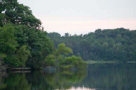 Putnam Trees in the Distance