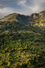 Panoramic view of the Cinque Terre coastline from a viewpoint in Corniglia, featuring green hills, cliffs, and the Mediterranean Sea. High on the hillside is the village of San Bernardino.