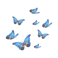 تصميم بدون عنوان 