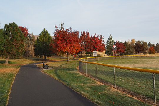Morning sunrise lights up the trees in their fall glory with a walking path passing underneath them in a local park.