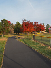 Morning sunrise lights up the trees in their fall glory with a walking path passing underneath them in a local park.