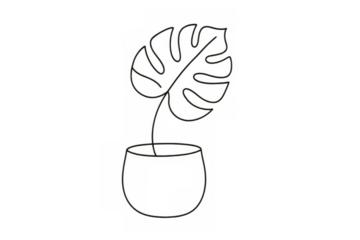 Monstera deliciosa houseplant in pot minimal continuous line drawing, plant sketch, foliage art, transparent background