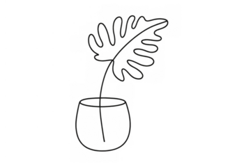 Monstera deliciosa leaf in vase line art drawing contour. Minimalist botanical sketch illustration, transparent background