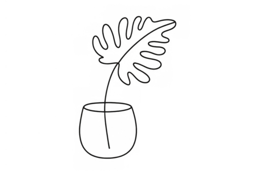 Monstera deliciosa leaf in vase line art drawing contour. Minimalist botanical sketch illustration, transparent background - Powered by Adobe