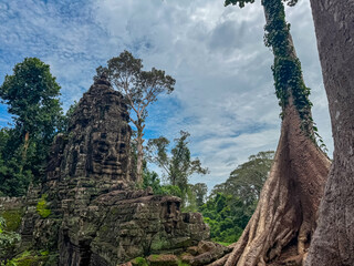 The serene, carved stone face on a historic gate tower at Angkor Thom stands beside the massive, textured trunk and roots of an ancient tree, blending nature and architecture in Siem Reap, Cambodia.