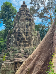 The magnificent carved stone face on a historic gate tower of Angkor Thom smiles serenely next to the massive trunk of an ancient tree, a symbol of nature and civilization in Siem Reap, Cambodia.