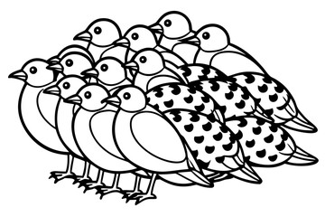 Birds Line Art Bundle Vector on White Background