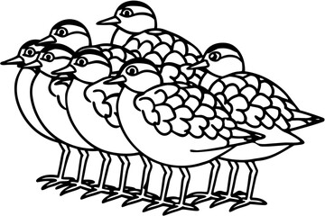 Birds Line Art Bundle Vector on White Background