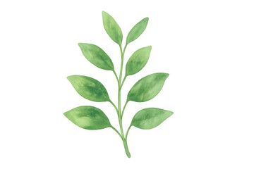 Fototapeta premium Green watercolor plant sprig with fresh leaves, representing nature, growth, and organic design, on transparent background