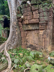 Detailed bas-relief carvings are visible on a weathered laterite stone wall of an ancient Khmer temple, where the powerful roots of a giant tree grow over historic structure in Siem Reap, Cambodia