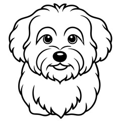 Coton de Tulear Dog Silhouette