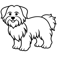 Coton de Tulear Dog Silhouette