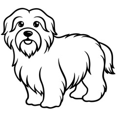 Coton de Tulear Dog Silhouette